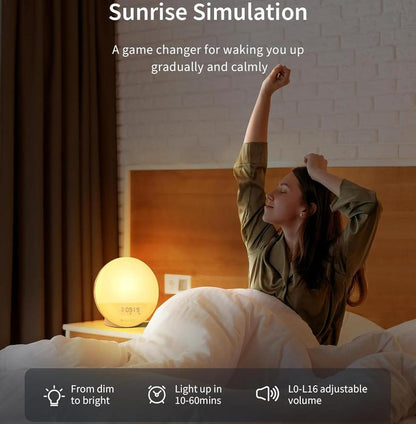 Ecozy Sunrise Alarm Clock for Heavy Sleepers, Smart Wake up Light with Sunrise/Sunset Simulation Decor Adjustable Radio
